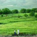 nahavand