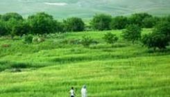 nahavand