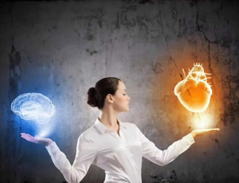 کدامیک منطق یا احساس؟