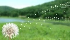 images5