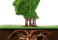 tree-brain-heart1