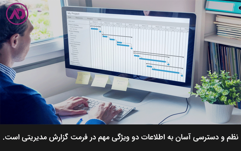 Management report format