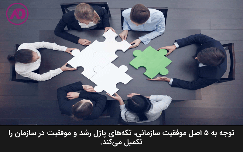 Principles of organizational success