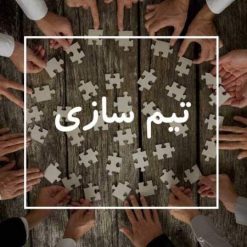 تیم سازی در سازمان