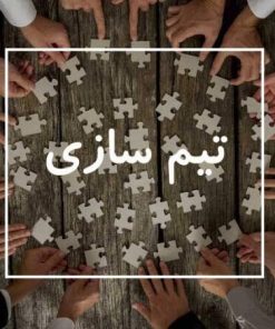 تیم سازی در سازمان