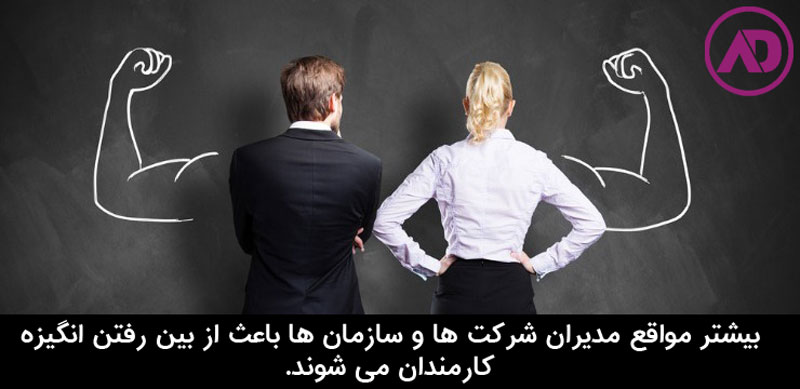 مدیریت شرکتها