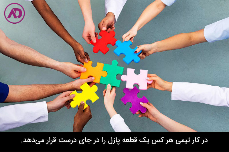 اصول کار تیمی