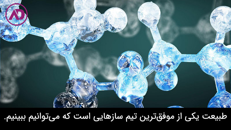 عوامل فردی و تیمی موثر در موفقیت تیم