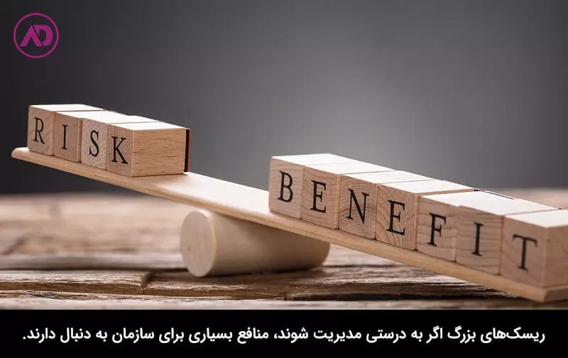 منظور از مدیریت ریسک چیست