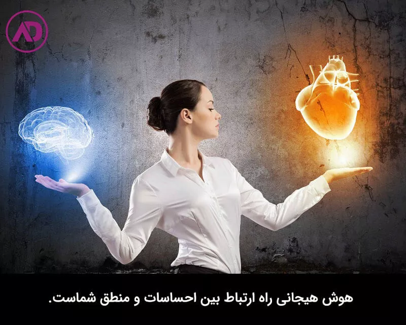 هوش هیجانی چیست