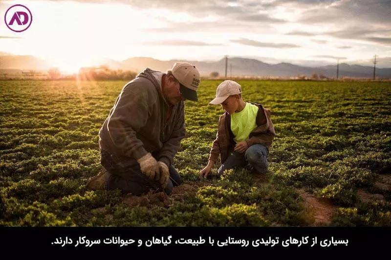 بهترین کار تولیدی با سرمایه کم در منزل
