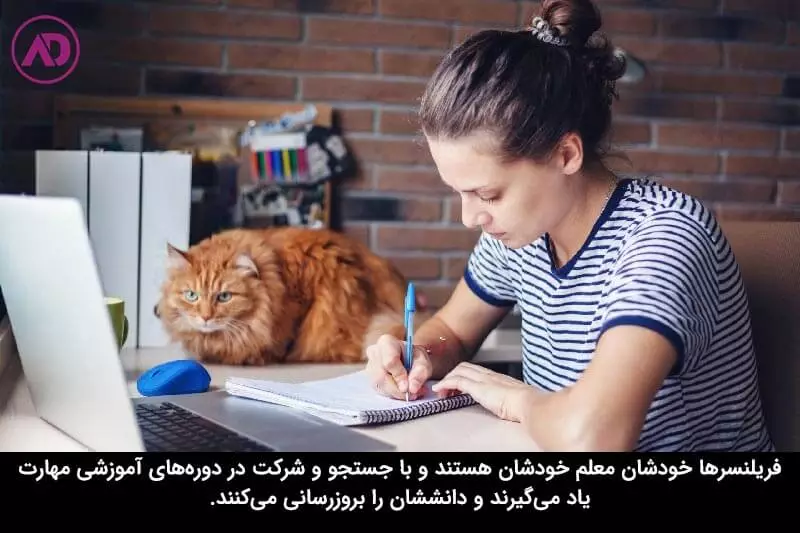 مهارت مورد نظر خود را پیدا کنید