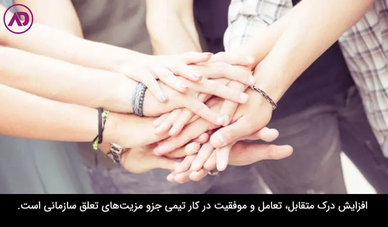 تعلق سازمانی چیست