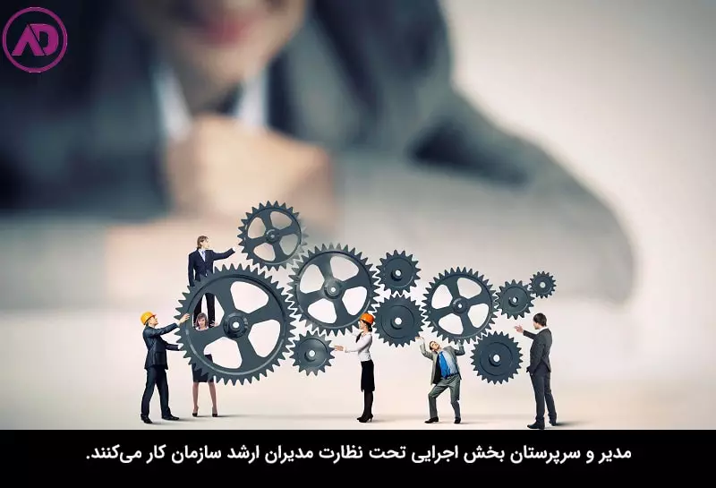 انواع مدیریت : مدیر اجرایی