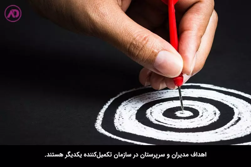تفاوت سرپرست و مدیر-اهداف