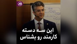 ۳ دسته