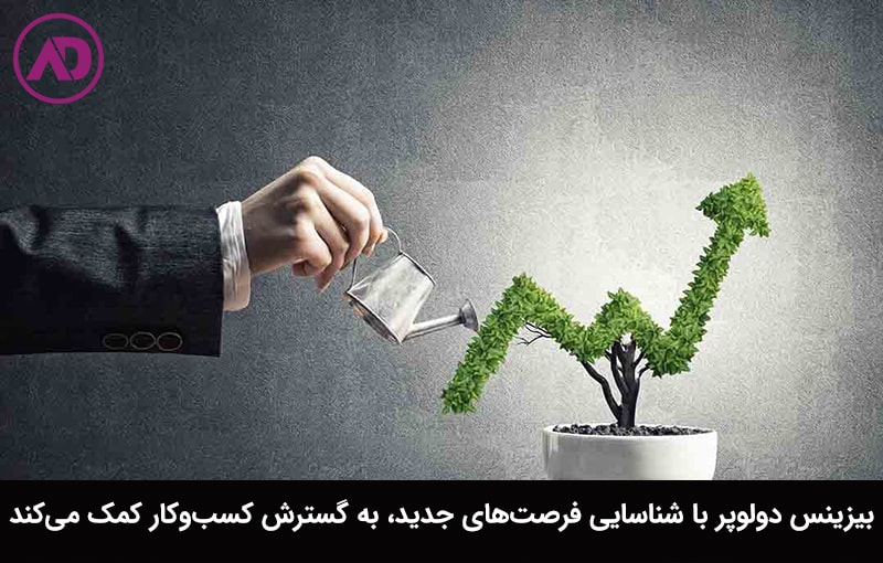 بیزینس دولوپر